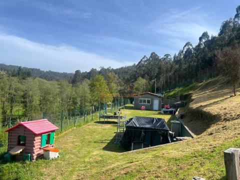 Casa de 50 m<sup style='color: #000;'>2</sup> con 2 habitaciones y 1 baños en Centro.